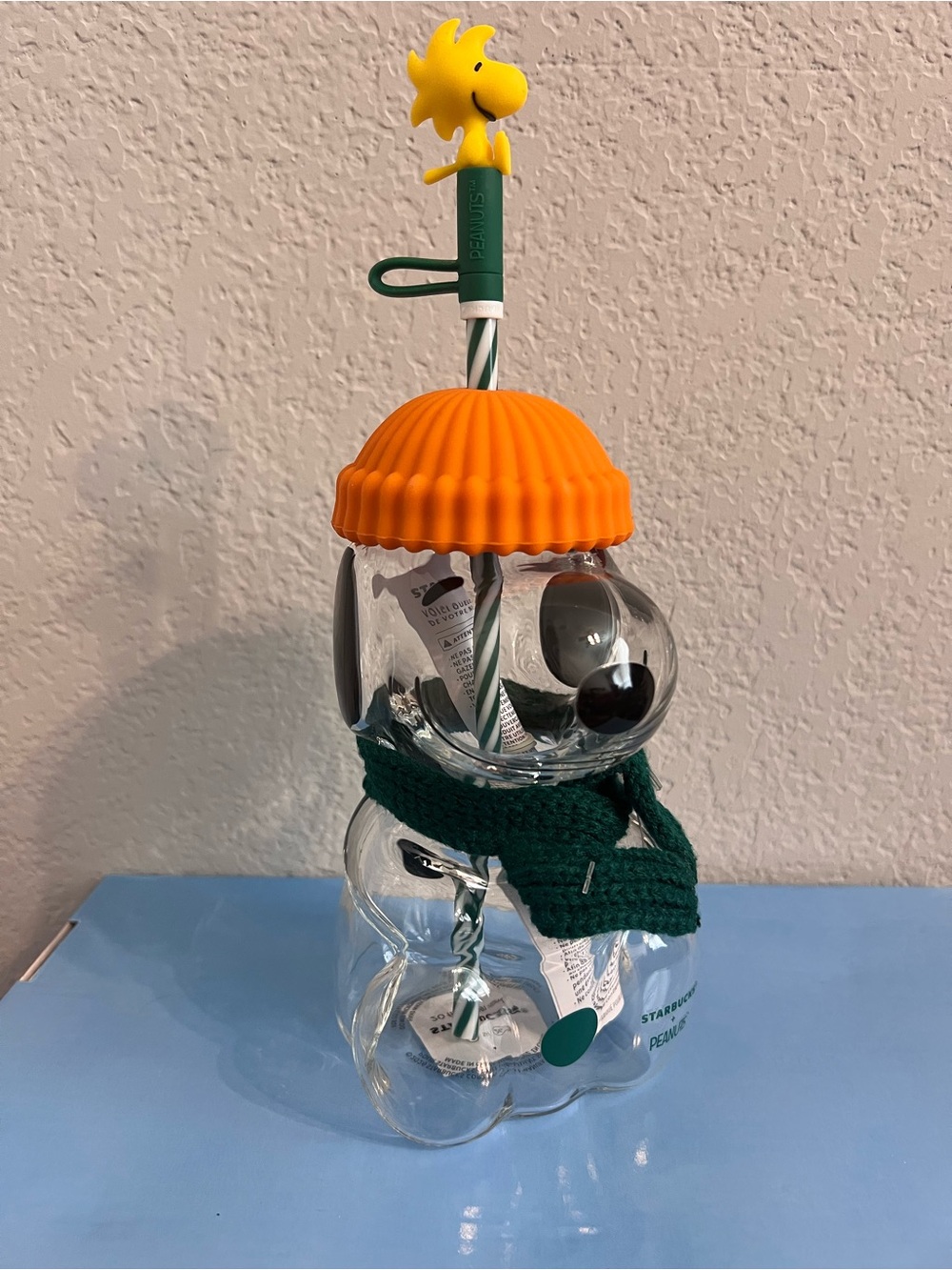 Viral Starbucks Snoopy Pumpkin/Fall Cup🎃🥤🐶🎃🐶🥤